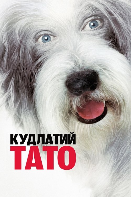 Кудлатий тато
