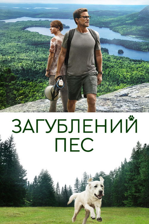 Постер фільму Загублений пес {year}